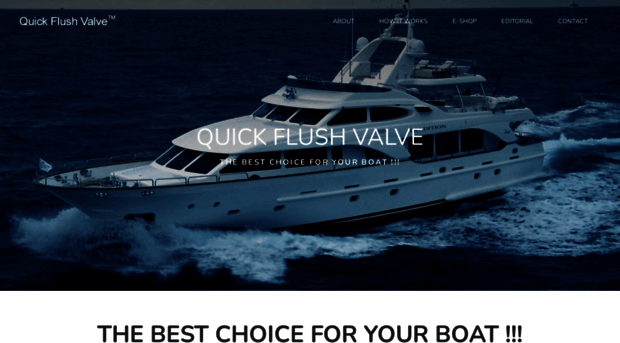 quickflushvalve.com