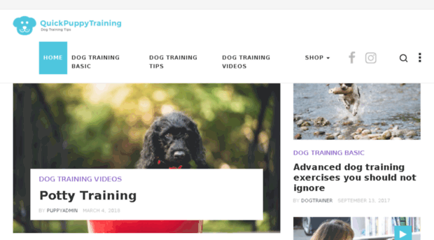 quickpuppytraining.com