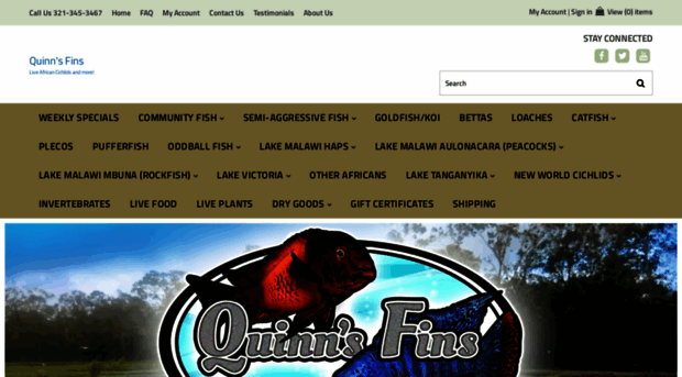 quinnsfins.com