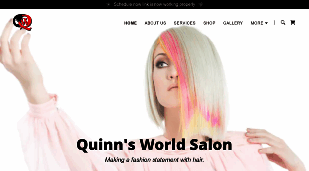 quinnsworldsalon.com