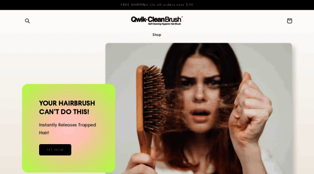 qwikcleanbrush.com