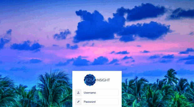 r2minsight.com