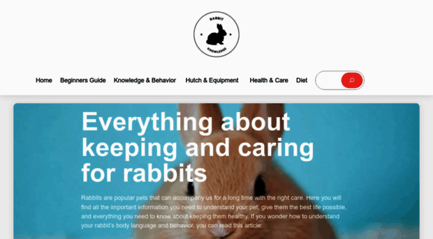 rabbit-knowledge.com