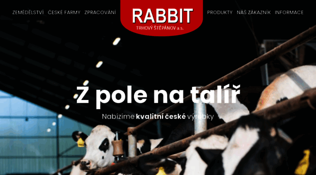 rabbit.cz