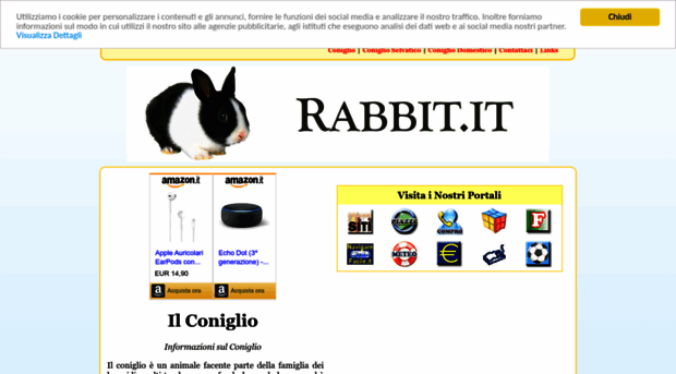 rabbit.it