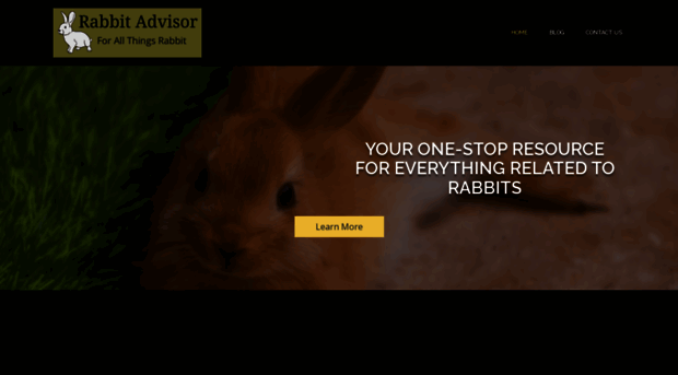 rabbitadvisor.com