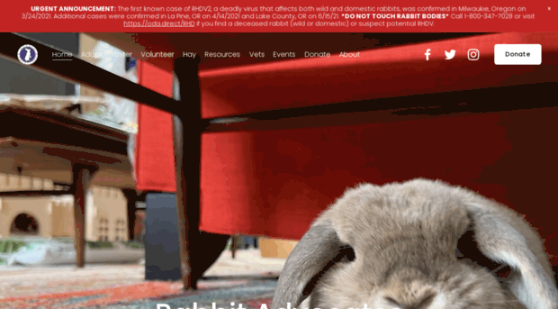 rabbitadvocates.org