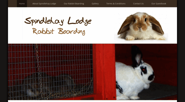 rabbitboardinghampshire.co.uk