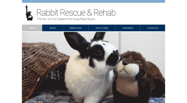 rabbitcare.org