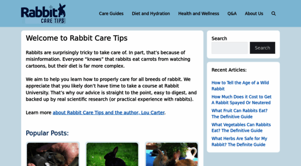 rabbitcaretips.com