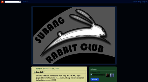 rabbitclubsubang.blogspot.com