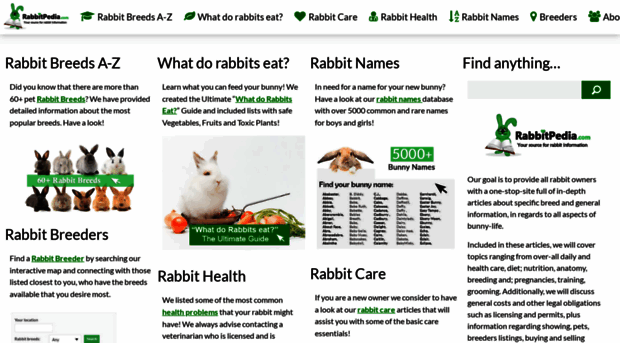 rabbitpedia.com