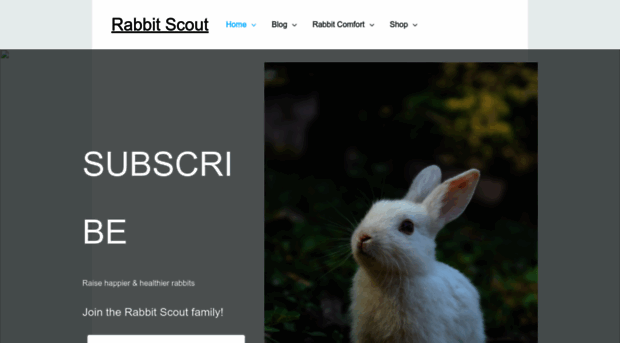 rabbitscout.com