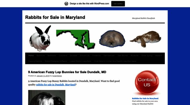 rabbitsforsaleinmaryland.wordpress.com