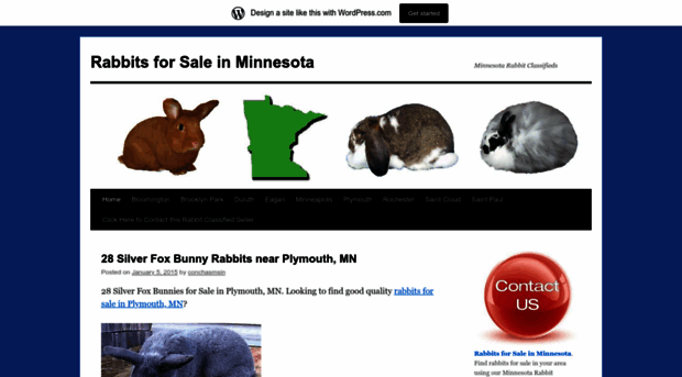 rabbitsforsaleinminnesota.wordpress.com