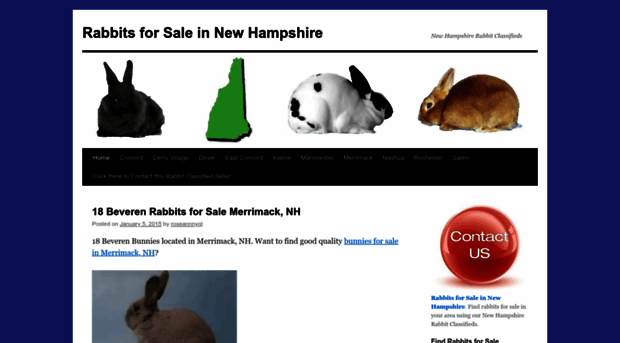 rabbitsforsaleinnewhampshire.wordpress.com