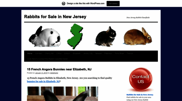 rabbitsforsaleinnewjersey.wordpress.com