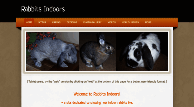 rabbitsindoors.weebly.com