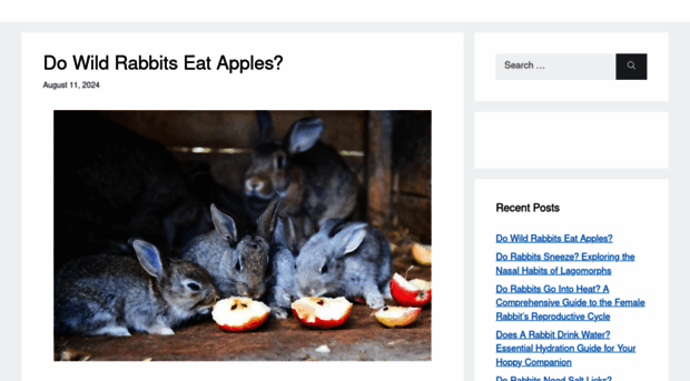 rabbitspedia.com