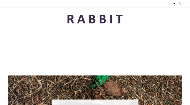 rabbitvideos.com