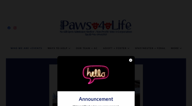 rabunpaws4life.com