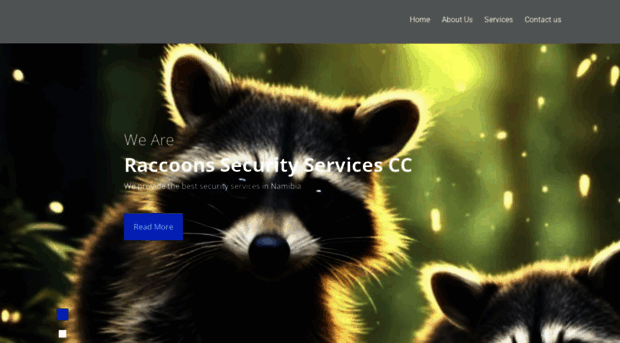 raccoonsecuritycc.com