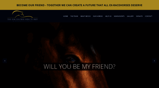 racehorsesanctuary.org