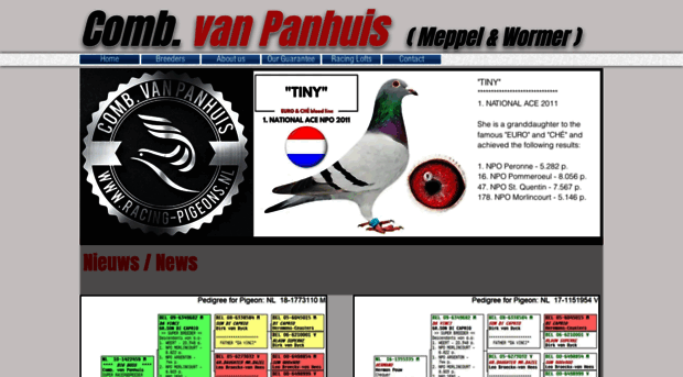 racing-pigeons.nl