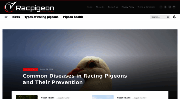 racpigeon.com