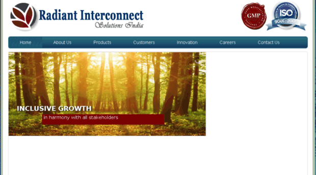 radiantinterconnect.com