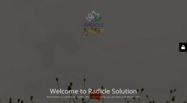 radiclesolution.com