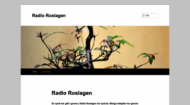 radioroslagen.se