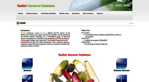 radish-genome.org