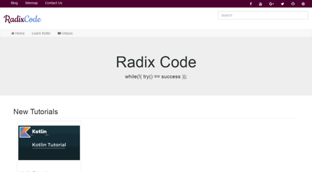 radixcode.com