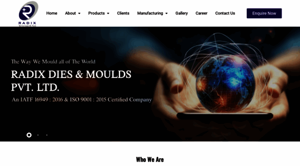 radixmoulds.in