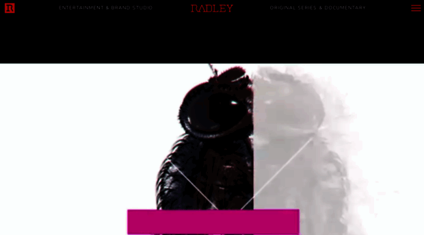 radleystudios.tv