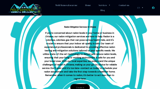 radonmitigationottawa.com