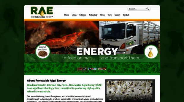 rae-energy.com