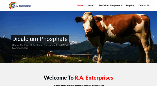 raenterprises.co.in