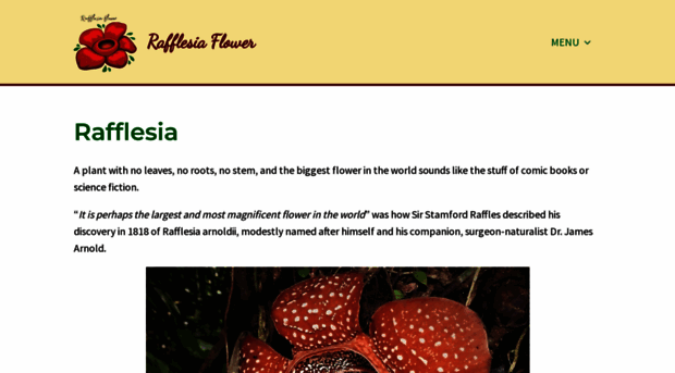 rafflesiaflower.com