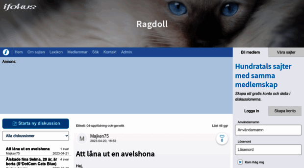 ragdoll.ifokus.se