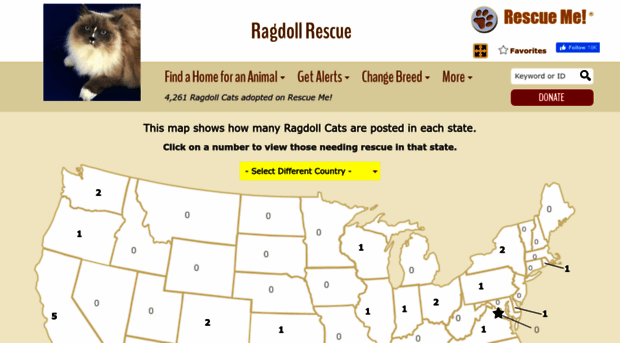 ragdoll.rescueme.org