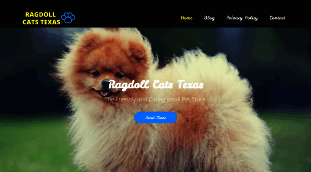 ragdollcatstexas.com