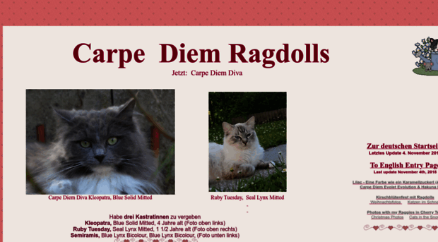 ragdolls.at