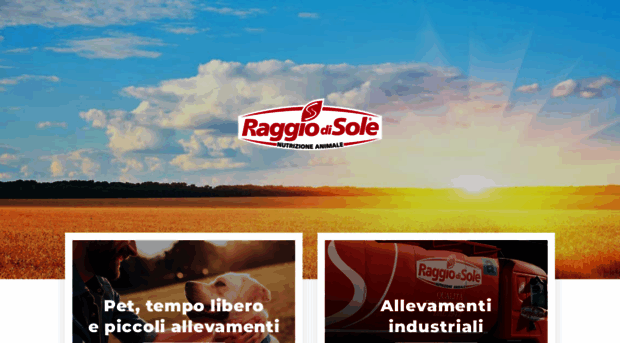 raggiodisole.biz