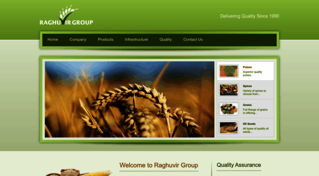 raghuvirgroupindia.com