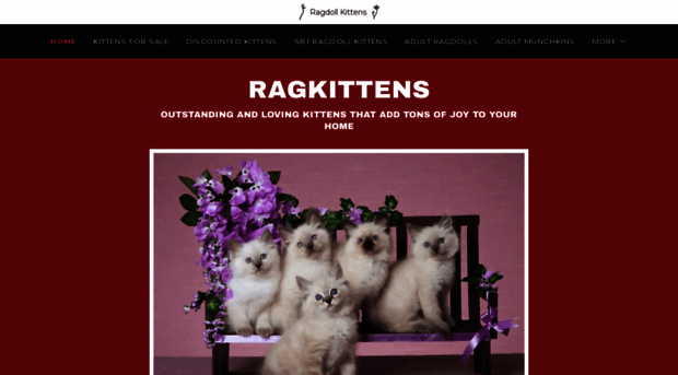 ragkittens.us