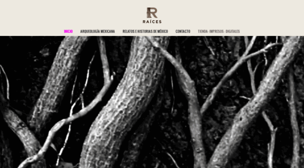 raices.com.mx