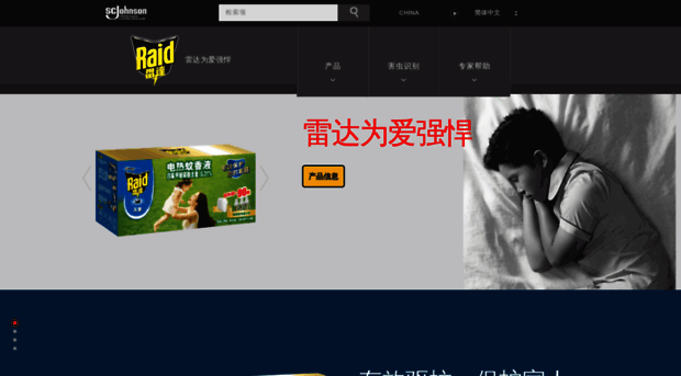 raid-china.com