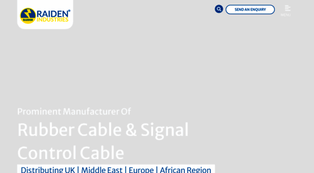 raidenelectric.co.uk